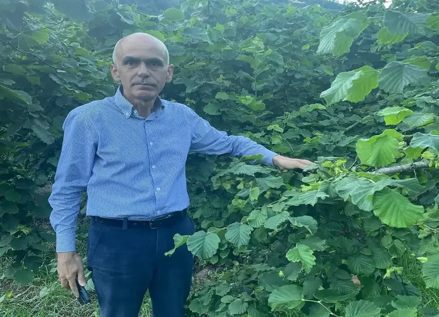 Nurittin Karan; Fındık Bölgesi Milletvekilleri Neden Sessiz?