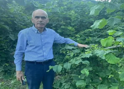 Nurittin Karan; Fındık Bölgesi Milletvekilleri Neden Sessiz?
