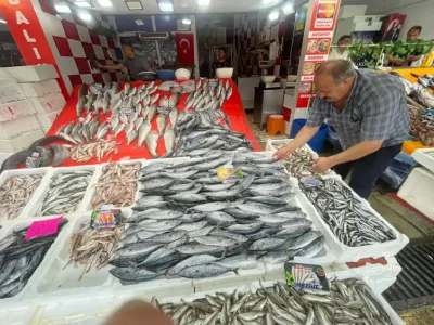 Av sezonu palamut bolluğuyla başladı